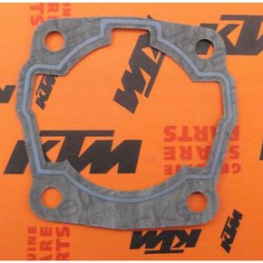 Nunc congue dui nec...