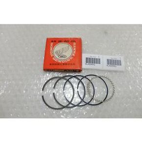 Nunc congue dui nec...