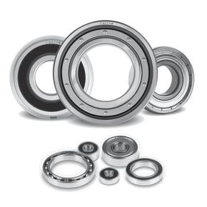 Nunc congue dui nec...