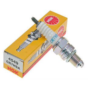 Nunc congue dui nec...