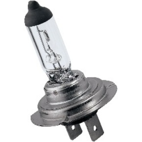 Nunc congue dui nec...