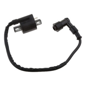 Nunc congue dui nec...