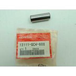 Nunc congue dui nec...