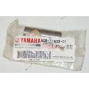 Nunc congue dui nec...