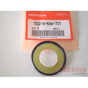 Nunc congue dui nec...