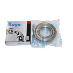 Nunc congue dui nec...