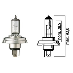 Nunc congue dui nec...