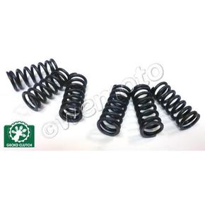 Nunc congue dui nec...