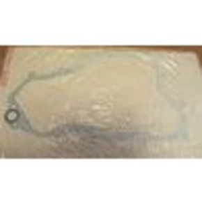 Nunc congue dui nec...