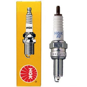 Nunc congue dui nec...