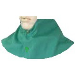 Nunc congue dui nec...