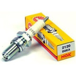 Nunc congue dui nec...