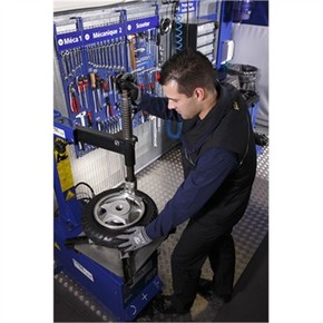 Nunc congue dui nec...